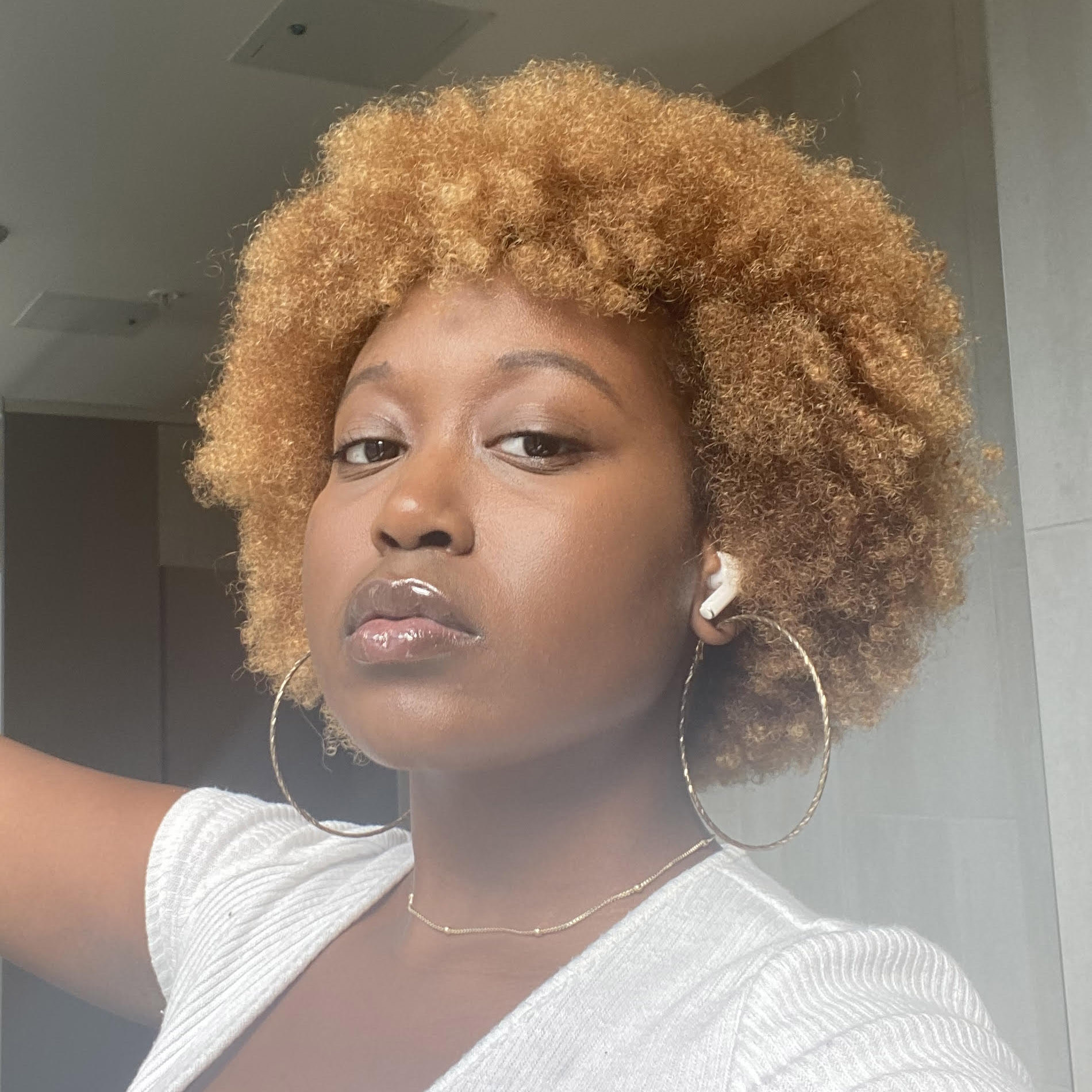 Imane Lawrence Brooks Mount Morris Park Community Improvement Assoc.